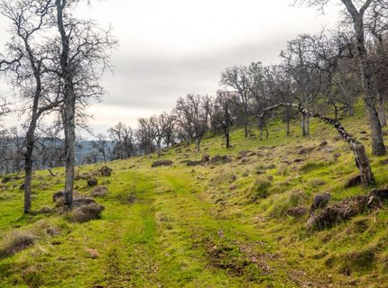 Skunk Gulch Road, Vallecito, CA 95251 Photo