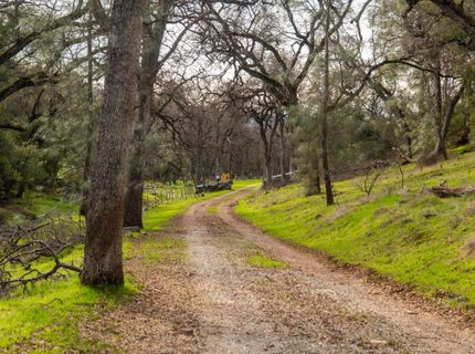 Skunk Gulch Road, Vallecito, CA 95251 Photo
