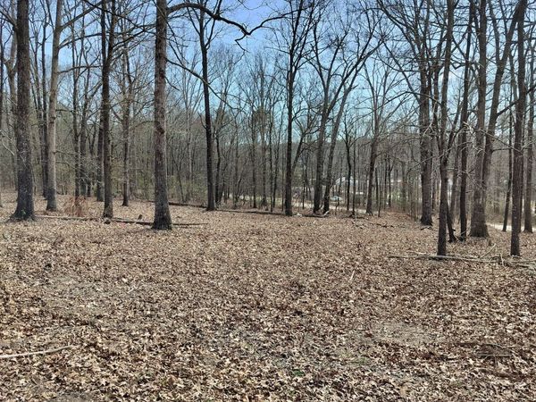 0 Hickory Log Circle, Eastanollee, GA 30538