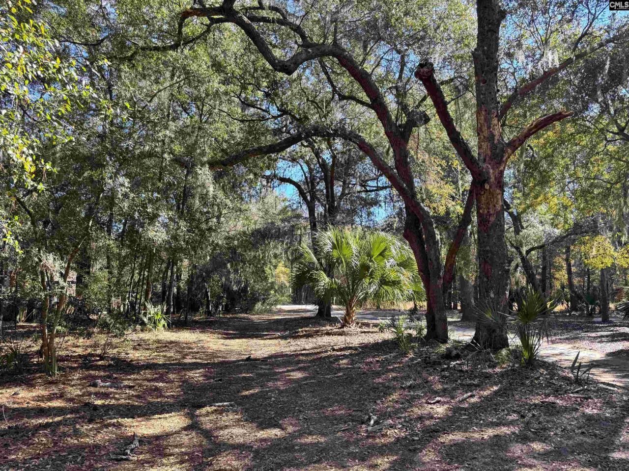 8384 Palmetto Road  Photo 10