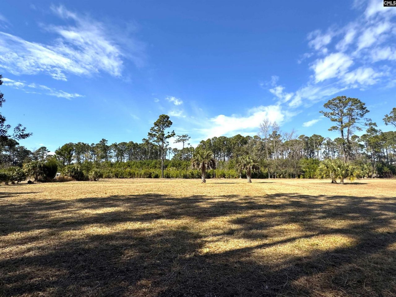 8384 Palmetto Road  Photo 4