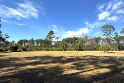 8384 Palmetto Road  photo 4