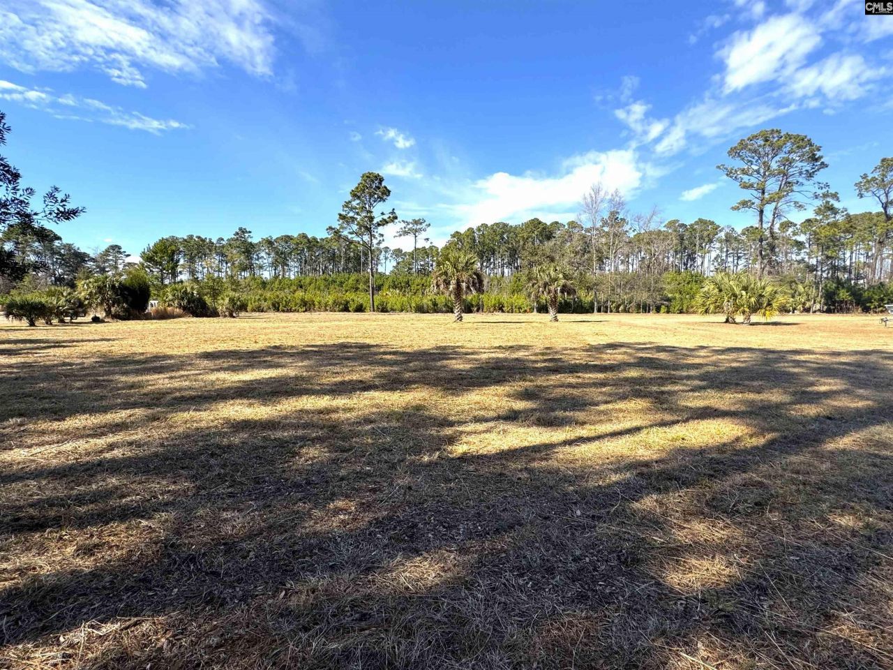 8384 Palmetto Road  Photo 5