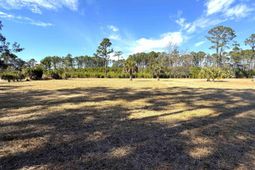 8384 Palmetto Road  photo 4