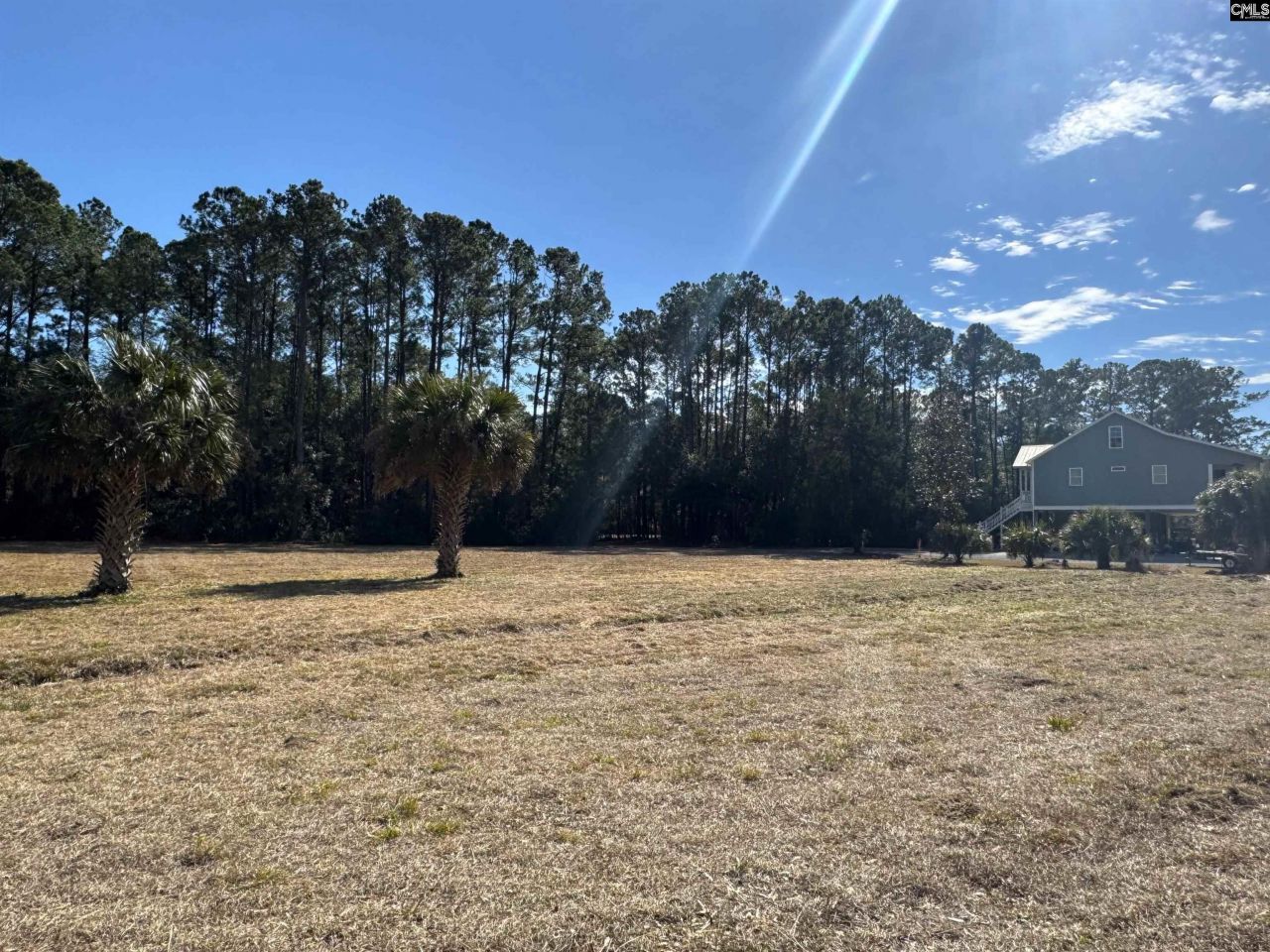 8384 Palmetto Road  Photo 6