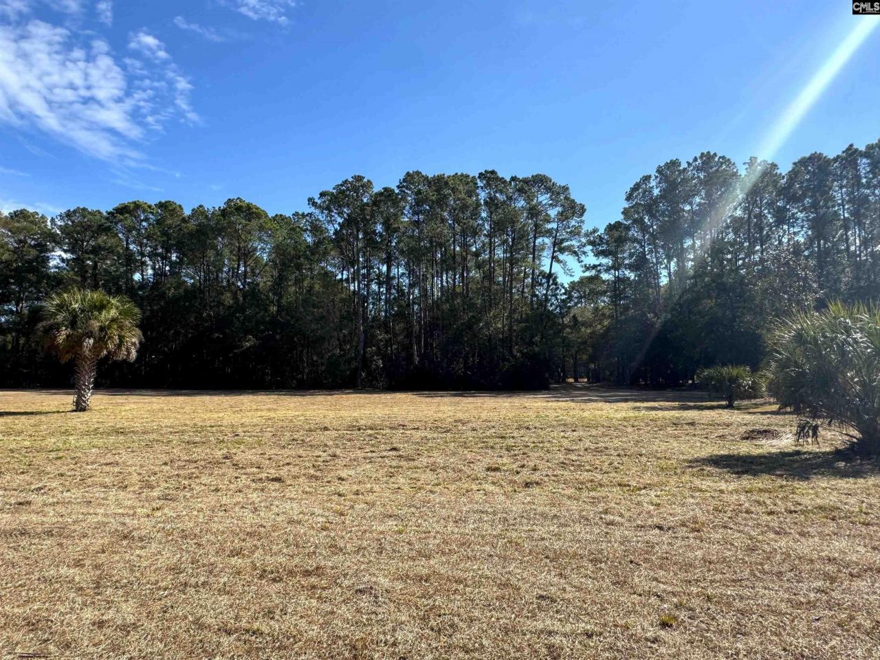 8384 Palmetto Road  Photo 7