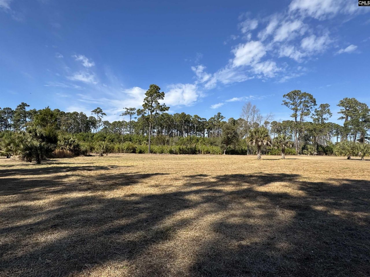 8384 Palmetto Road  Photo 8