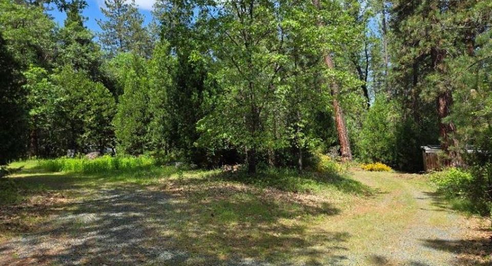 4801 Blue Mountain Rd, Wilseyville, CA 95257 Photo
