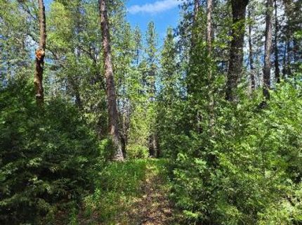 4801 Blue Mountain Rd, Wilseyville, CA 95257 Photo