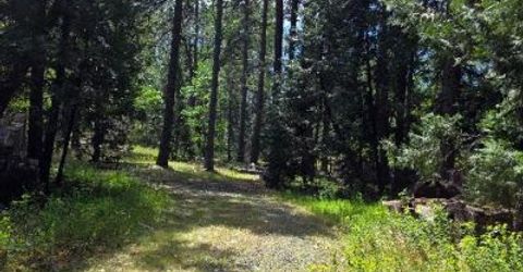 4801 Blue Mountain Rd, Wilseyville, CA 95257 Photo