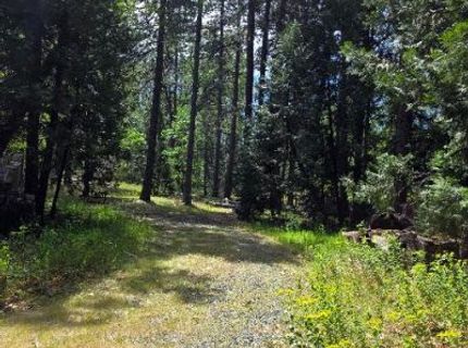 4801 Blue Mountain Rd, Wilseyville, CA 95257 Photo