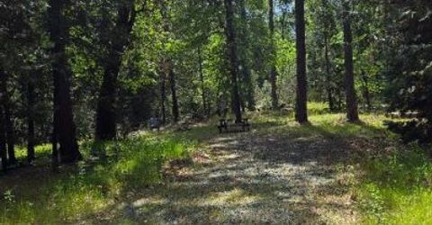 4801 Blue Mountain Rd, Wilseyville, CA 95257 Photo