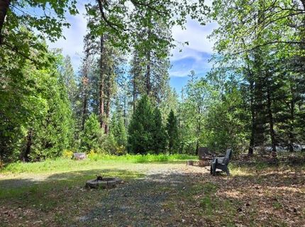 4801 Blue Mountain Rd, Wilseyville, CA 95257 Photo