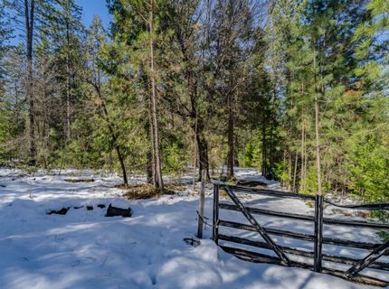 4801 Blue Mountain Rd, Wilseyville, CA 95257 Photo