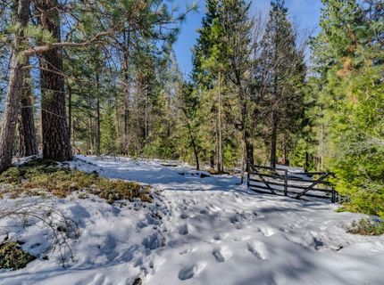 4801 Blue Mountain Rd, Wilseyville, CA 95257 Photo