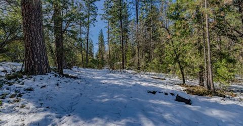 4801 Blue Mountain Rd, Wilseyville, CA 95257 Photo