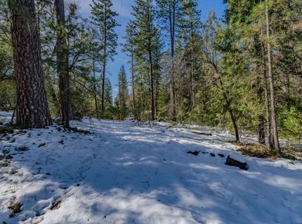 4801 Blue Mountain Rd, Wilseyville, CA 95257 Photo