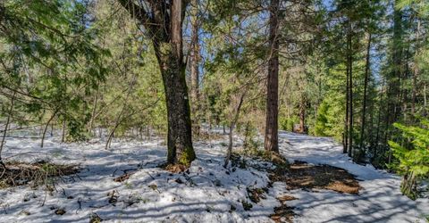 4801 Blue Mountain Rd, Wilseyville, CA 95257 Photo