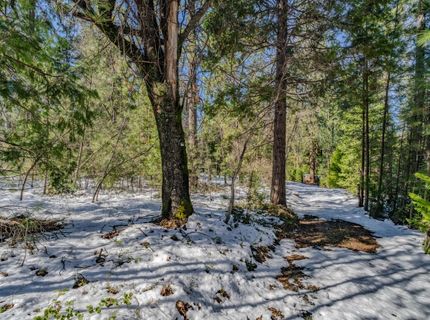4801 Blue Mountain Rd, Wilseyville, CA 95257 Photo