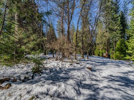 4801 Blue Mountain Rd, Wilseyville, CA 95257 Photo