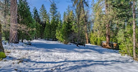4801 Blue Mountain Rd, Wilseyville, CA 95257 Photo