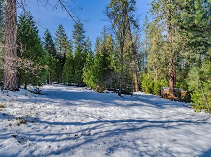 4801 Blue Mountain Rd, Wilseyville, CA 95257 Photo