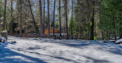 4801 Blue Mountain Rd, Wilseyville, CA 95257 Photo