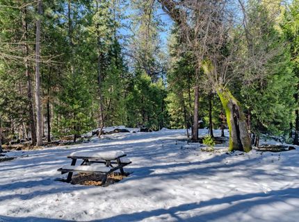 4801 Blue Mountain Rd, Wilseyville, CA 95257 Photo