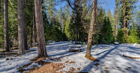 4801 Blue Mountain Rd, Wilseyville, CA 95257 Photo