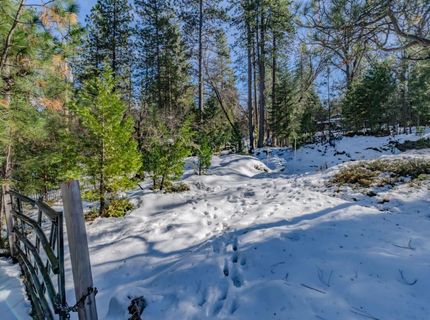 4801 Blue Mountain Rd, Wilseyville, CA 95257 Photo