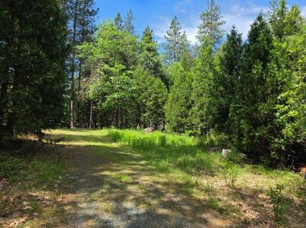 4801 Blue Mountain Rd, Wilseyville, CA 95257 Photo