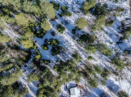 4801 Blue Mountain Rd, Wilseyville, CA 95257 Photo