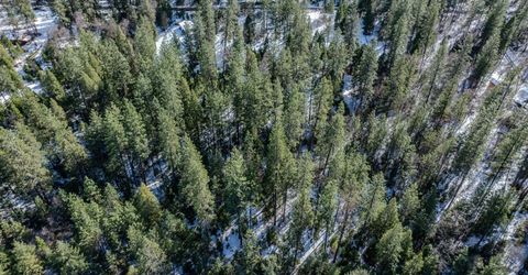 4801 Blue Mountain Rd, Wilseyville, CA 95257 Photo