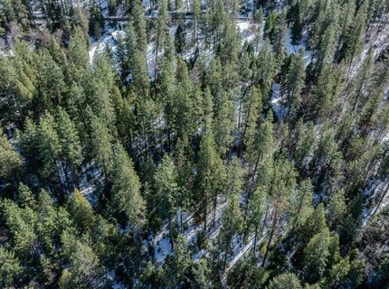 4801 Blue Mountain Rd, Wilseyville, CA 95257 Photo