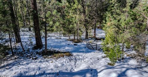 4801 Blue Mountain Rd, Wilseyville, CA 95257 Photo