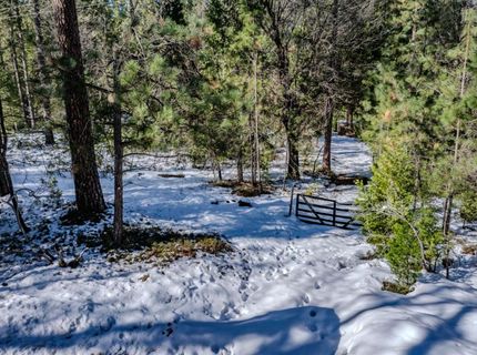 4801 Blue Mountain Rd, Wilseyville, CA 95257 Photo
