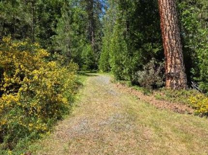 4801 Blue Mountain Rd, Wilseyville, CA 95257 Photo