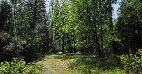 4801 Blue Mountain Rd, Wilseyville, CA 95257 Photo