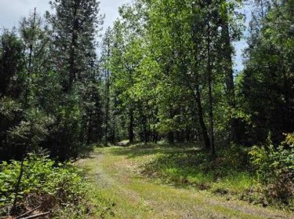 4801 Blue Mountain Rd, Wilseyville, CA 95257 Photo
