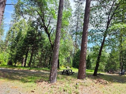 4801 Blue Mountain Rd, Wilseyville, CA 95257 Photo