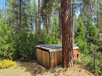 4801 Blue Mountain Rd, Wilseyville, CA 95257 Photo