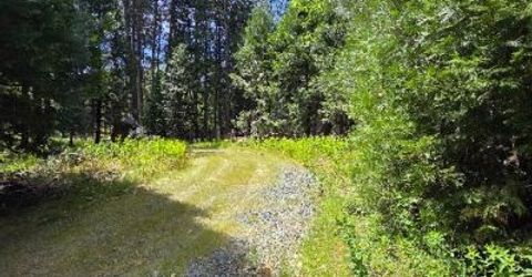 4801 Blue Mountain Rd, Wilseyville, CA 95257 Photo