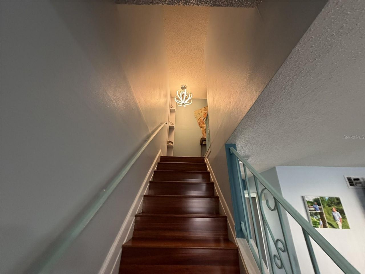 8414 17th Street N, Saint Petersburg, FL 33702 Photo