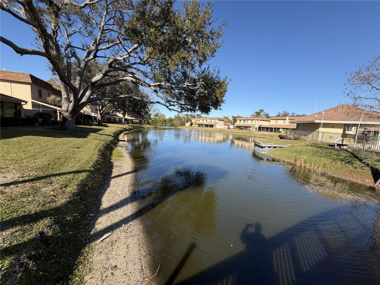 8414 17th Street N, Saint Petersburg, FL 33702 Photo