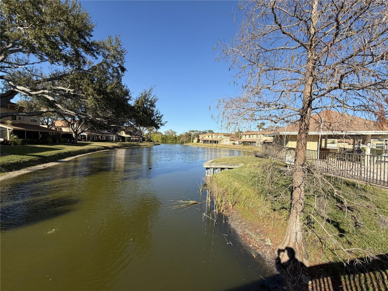 8414 17th Street N, Saint Petersburg, FL 33702 Photo