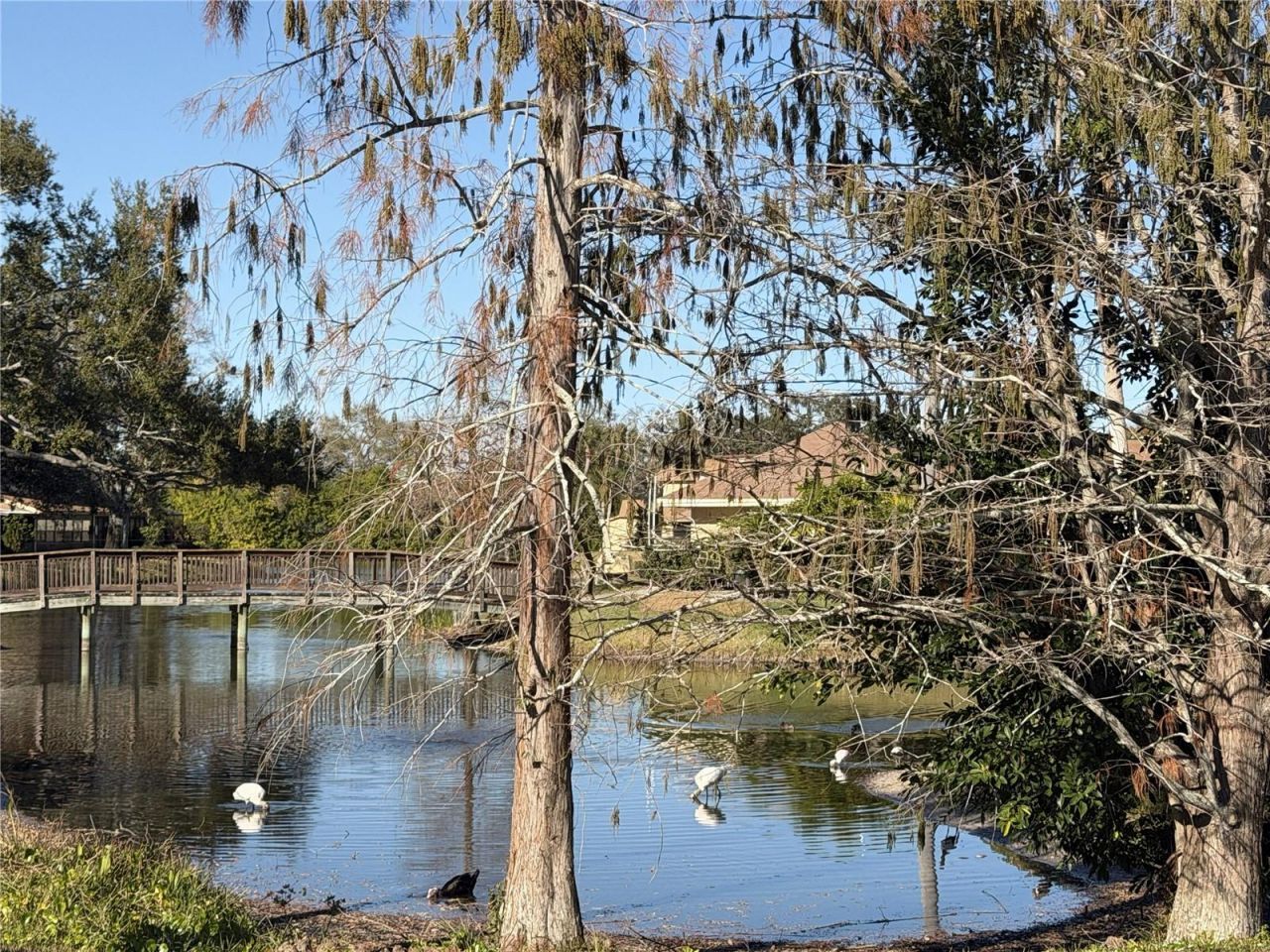 8414 17th Street N, Saint Petersburg, FL 33702 Photo