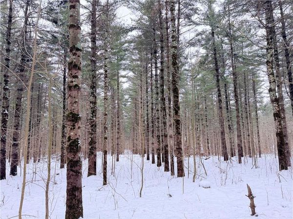 20 Acres Star Lake Road, Rice Lake, WI 54868