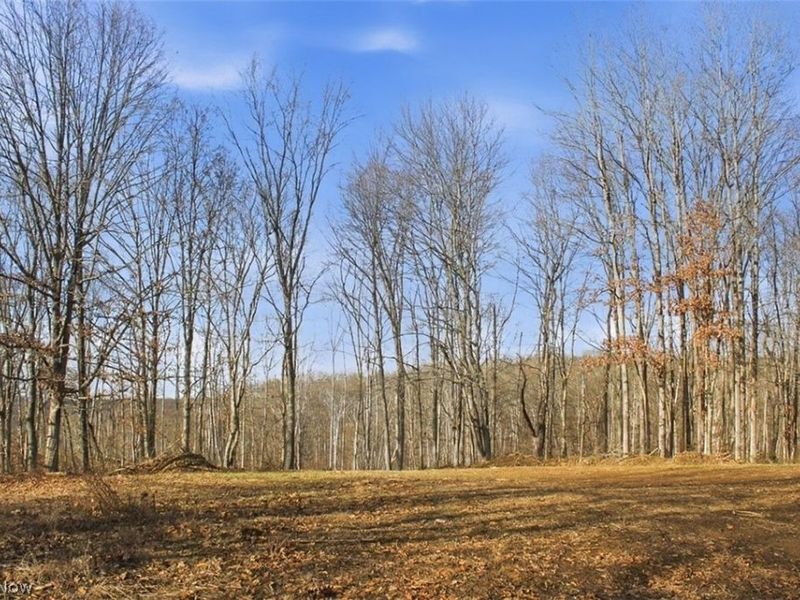 00 State Route 155 SE, Corning, OH 43730 Photo 13