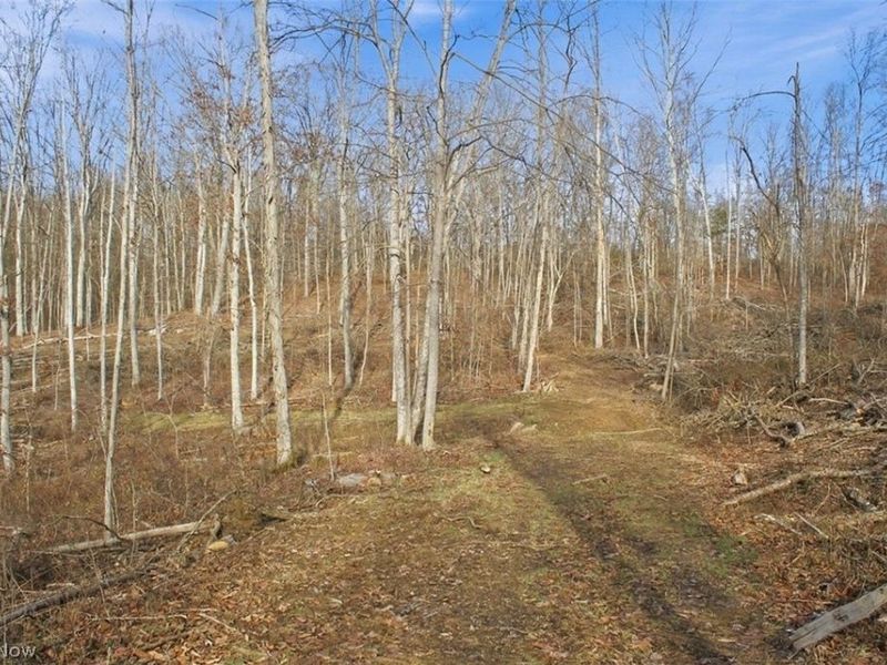 00 State Route 155 SE, Corning, OH 43730 Photo 14