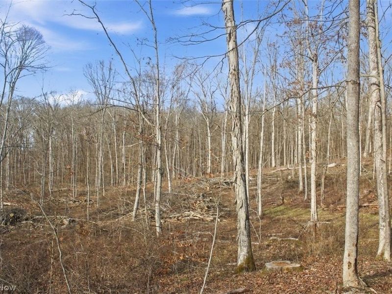 00 State Route 155 SE, Corning, OH 43730 Photo 15